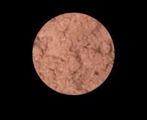 1 BRONZE ENVY MINERAL BRONZER LOOSE POWDER JAR