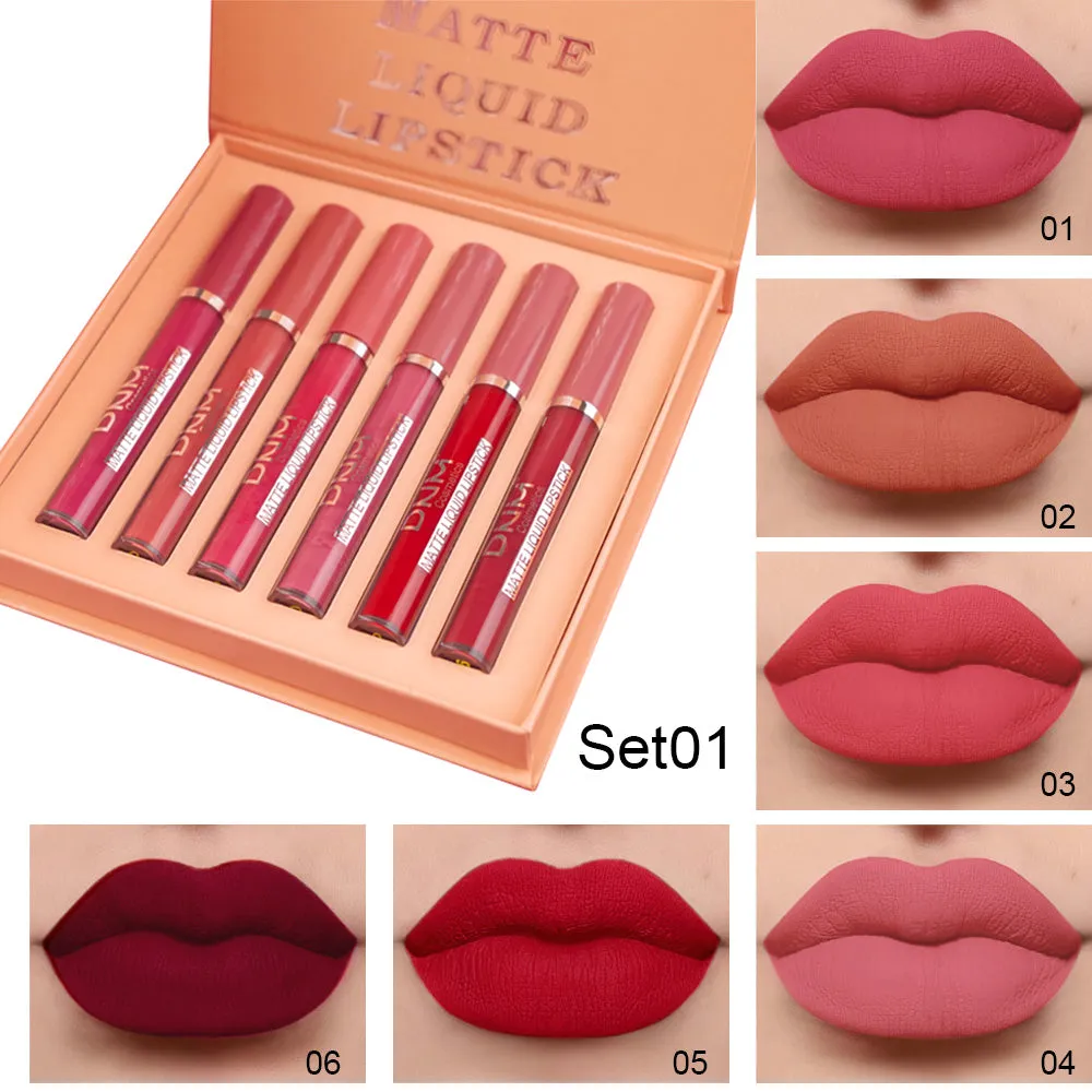 6Pcs Matte Liquid Lipstick Set Lip Stain Makeup,evpct 24 Hour Long Lasting Waterproof Dark Red Matte Matt Lipsticks Lip Gloss Sets for Women Matt Liquid Lippies labiales matte larga duracion 24 Set09