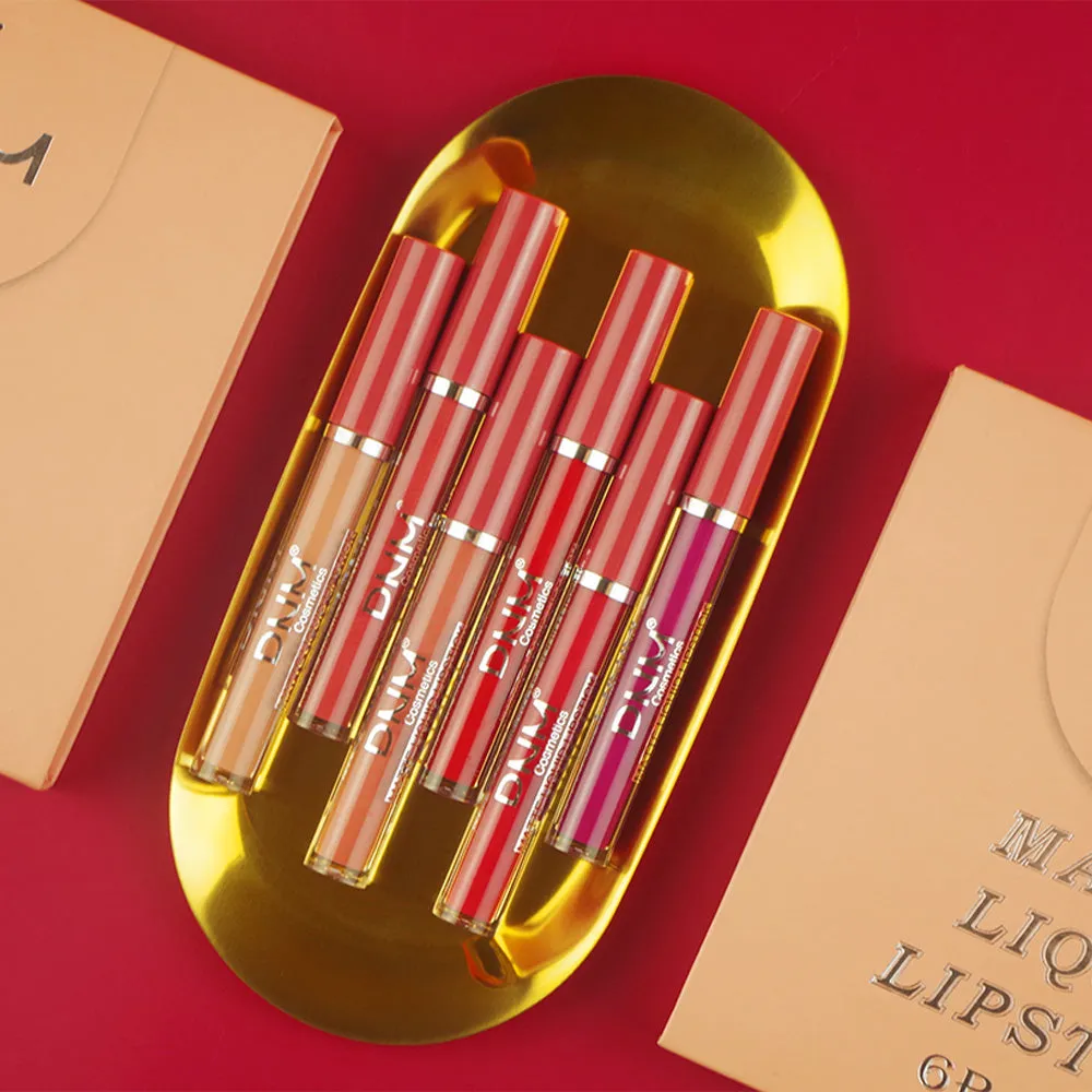 6Pcs Matte Liquid Lipstick Set Lip Stain Makeup,evpct 24 Hour Long Lasting Waterproof Dark Red Matte Matt Lipsticks Lip Gloss Sets for Women Matt Liquid Lippies labiales matte larga duracion 24 Set12