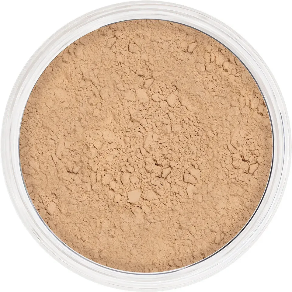 Anti-Shine Powder