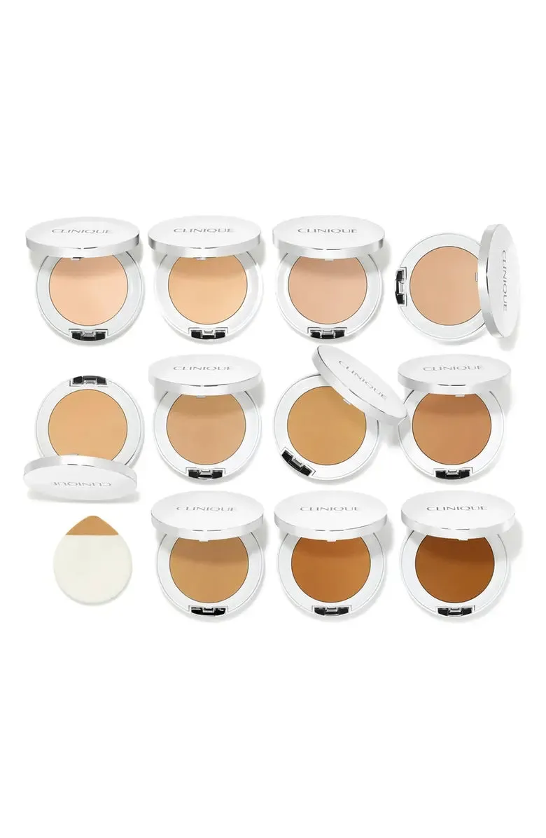 Beyond Perfecting - Powder Foundation   Concealer - Dry Combination to Oily Skin