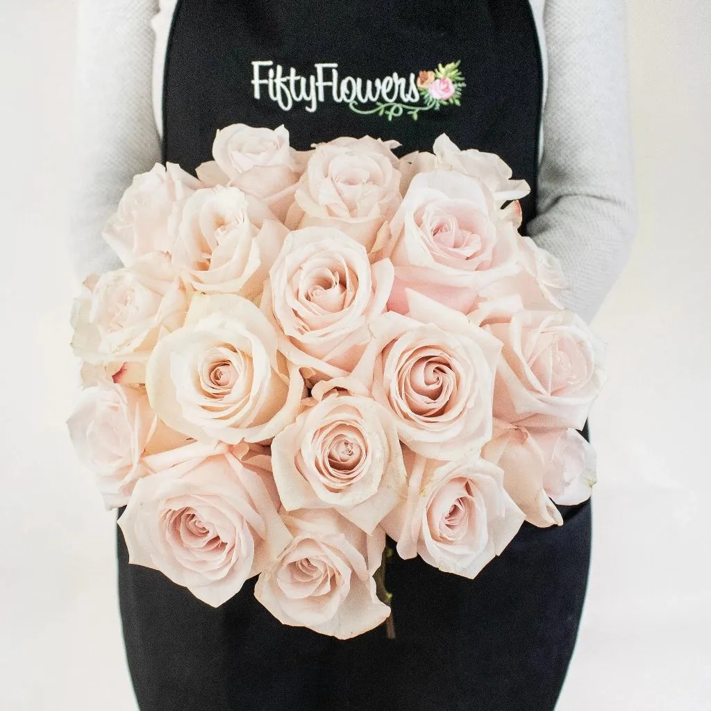 Blushing Beauty Poma Rosa Roses