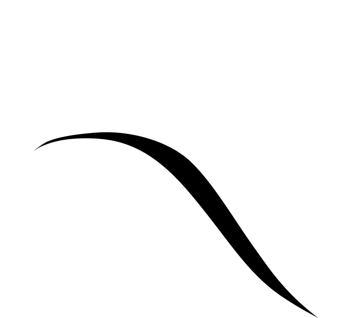 Bourjois Liner Feutre Slim Eyeliner 17 Ultra Black