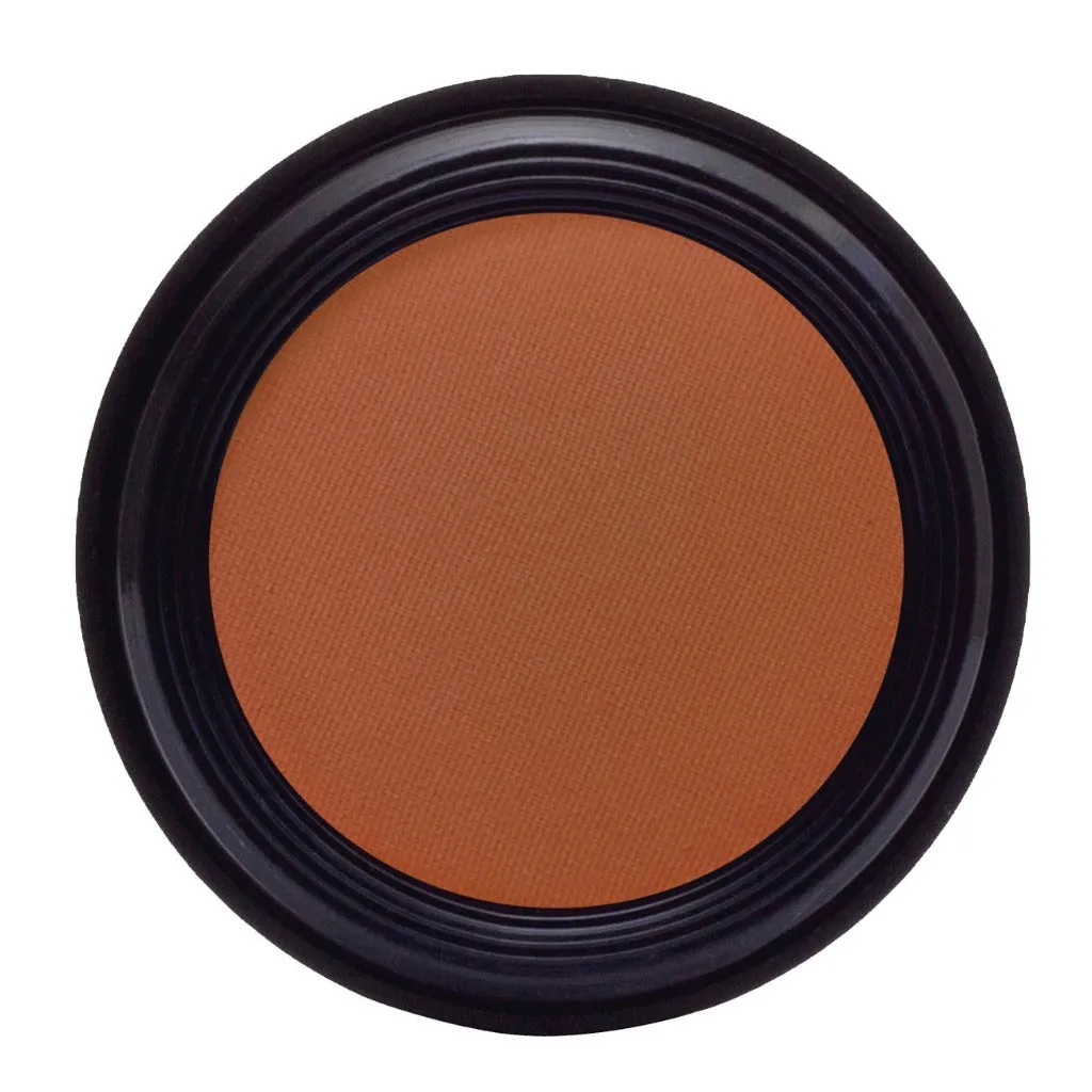Bronze Powder Blush