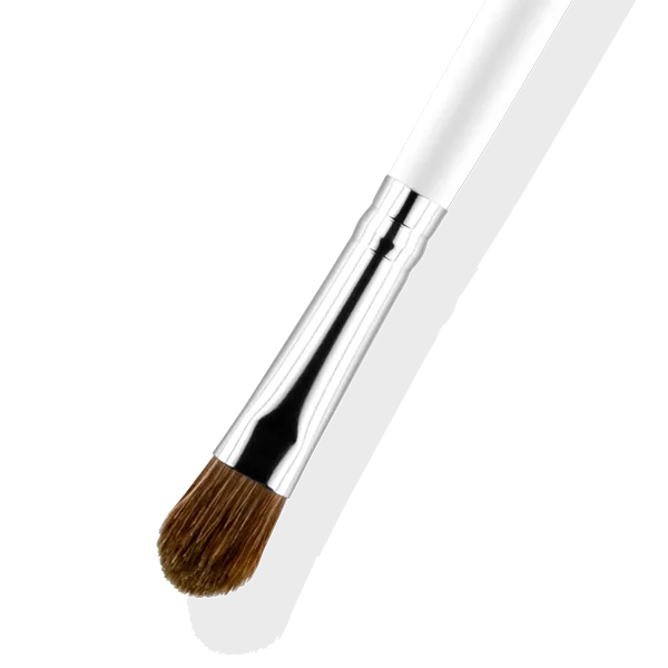 Brush #3 - Eyeshadow