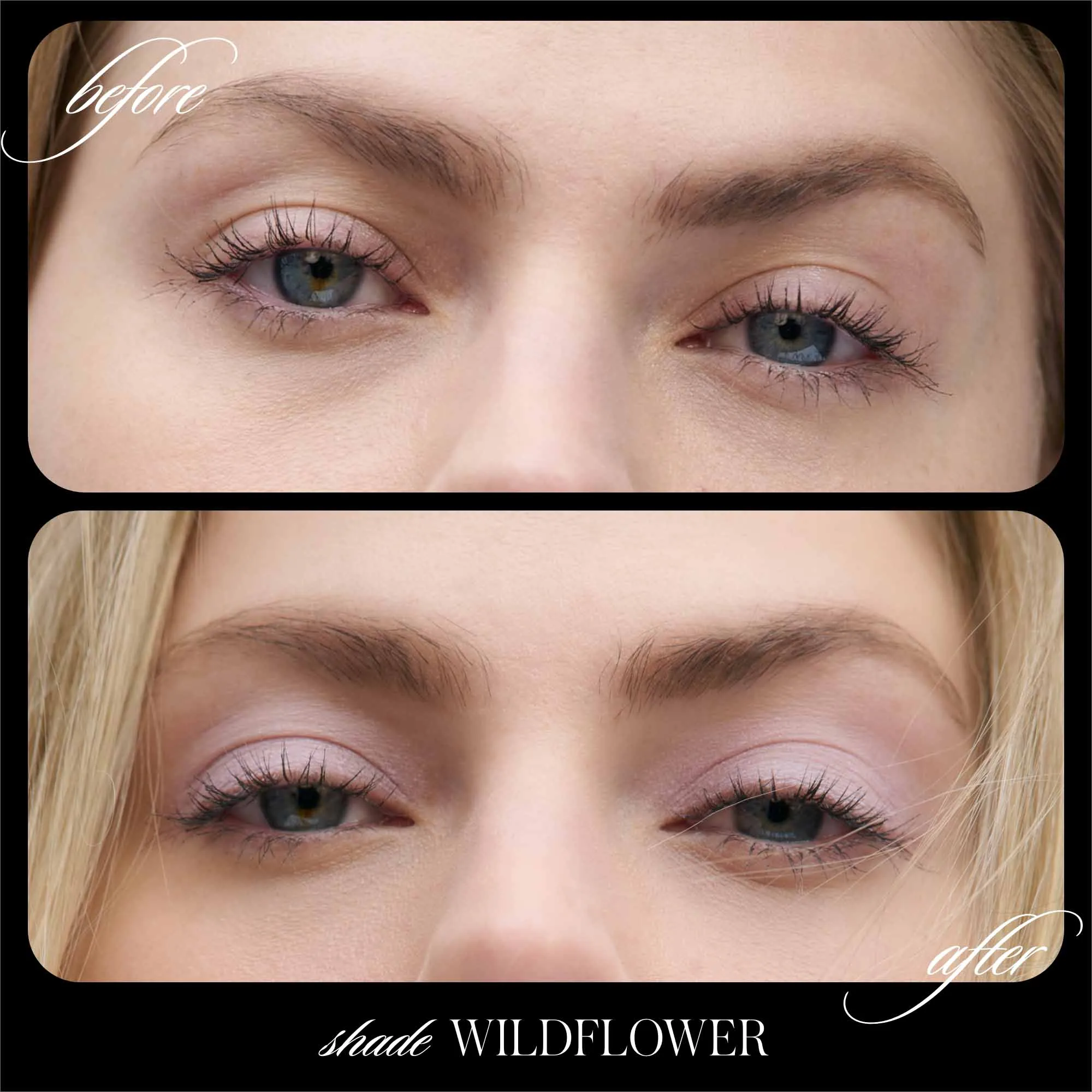 Cashmere Matte Eyelights