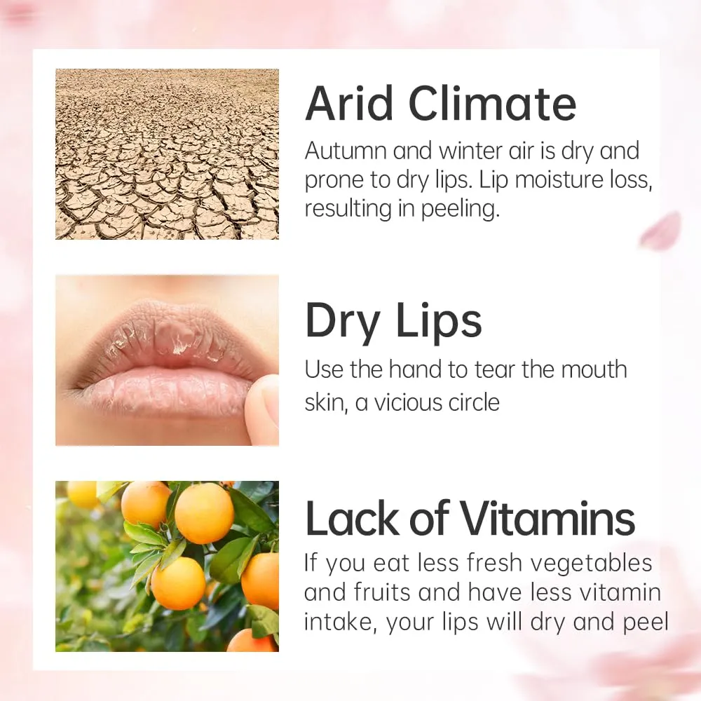 CATKIN Ultra Hydrating Natural Plant Extract Lip Balm for Dry Lips Moisturizing Chapstick Lip Treatment Repair Nourish Lip Skin Care (C01 Colorless)