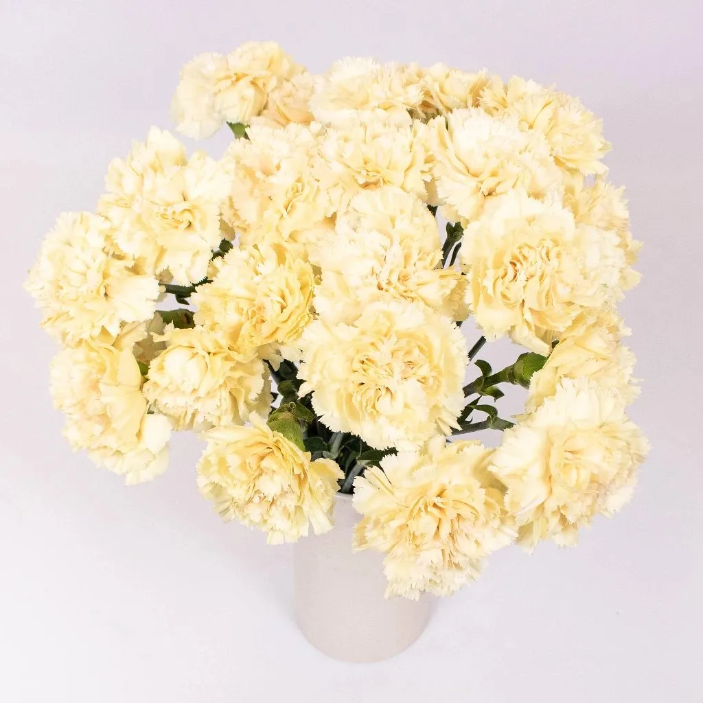Champagne Wedding Carnation Flowers