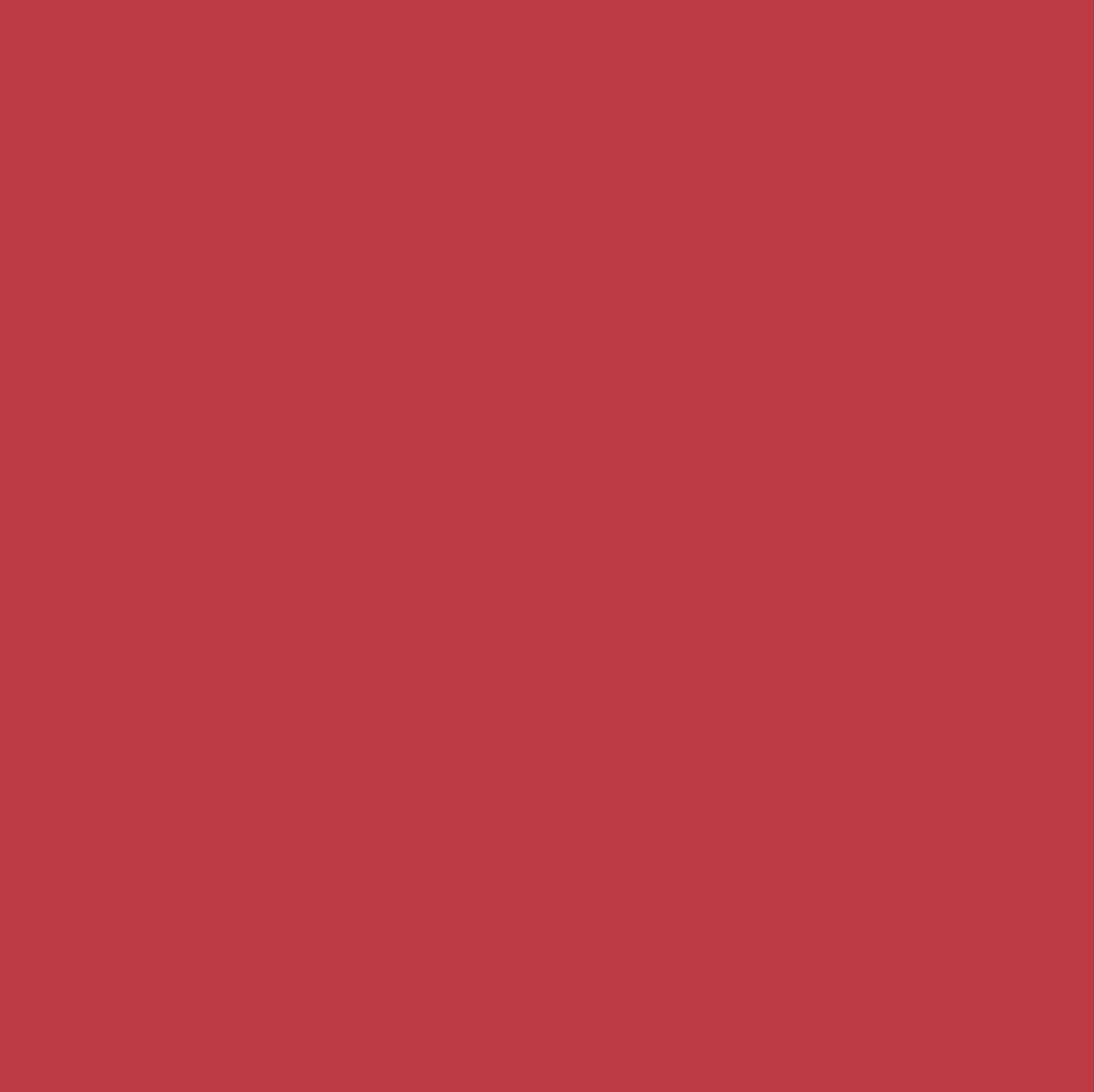 Change Agent Matte Lipstick M 447 DARK CORAL
