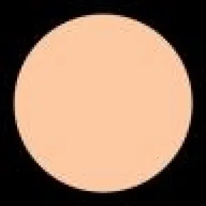 DUAL POWDER C3 BBG Cosmetics