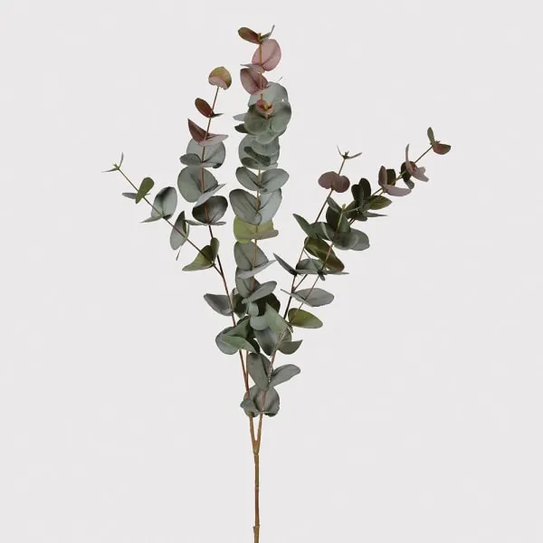 Eucalyptus Blush Spray