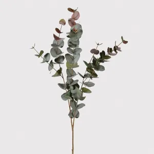 Eucalyptus Blush Spray