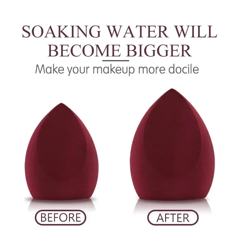 Foundation Sponge