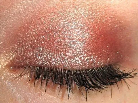 Goji Eyeshadow