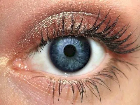 Goji Eyeshadow