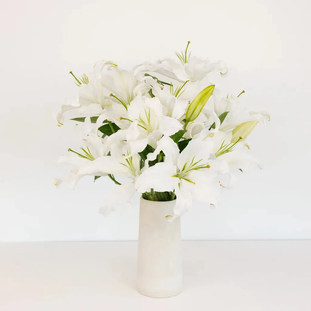 Ivory Oriental Lily
