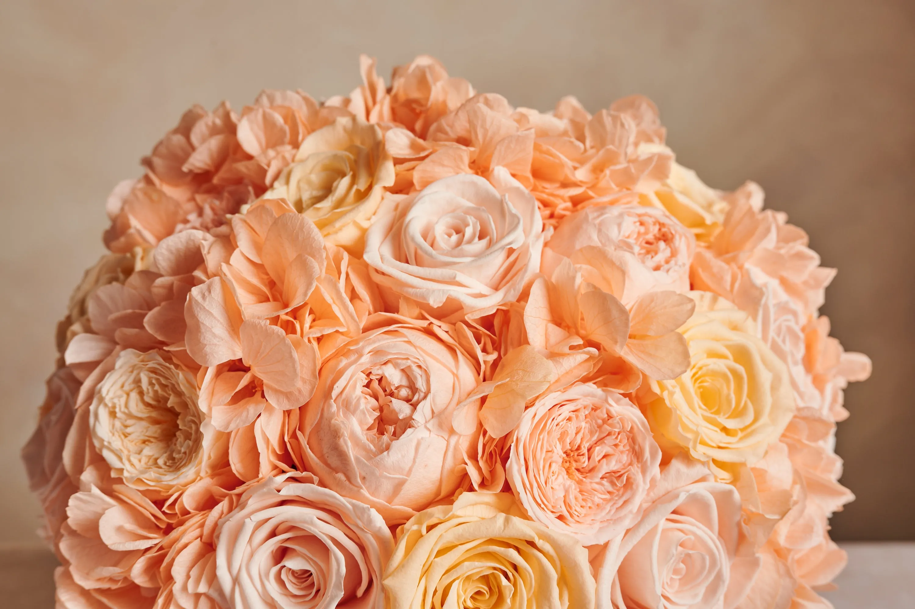 Jardin Dome - Peach