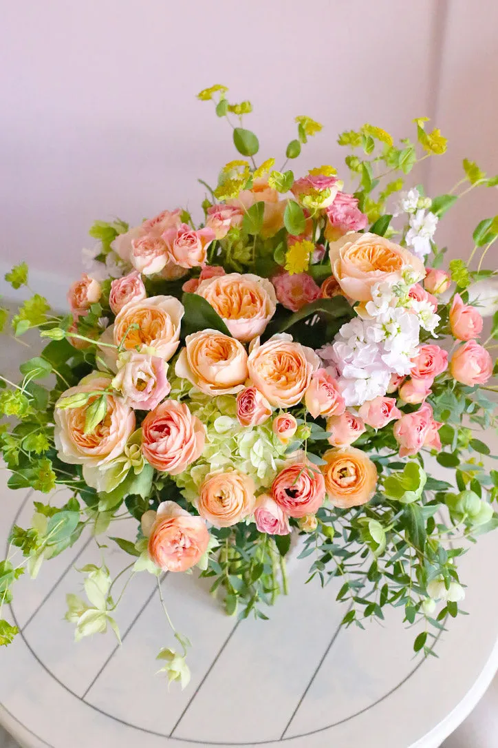 Juliet's Roses