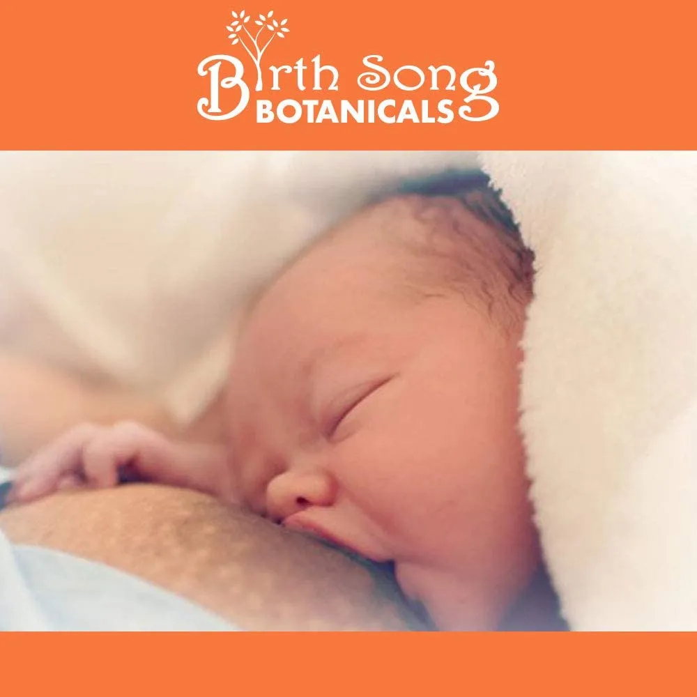 Let There Be Milk! Liquid Vegetarian Capsules Herbal Breastfeeding Supplement to Support Lactation and Breastmilk Supply* 60 Ct.
