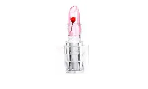 Lipbalm Nutritious Lips Makeup