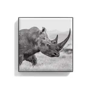 Luminescent Eye Shade Rhinoceros 2g