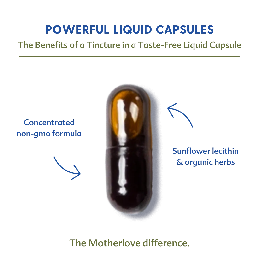 Moringa (Malunggay) - Liquid Capsules
