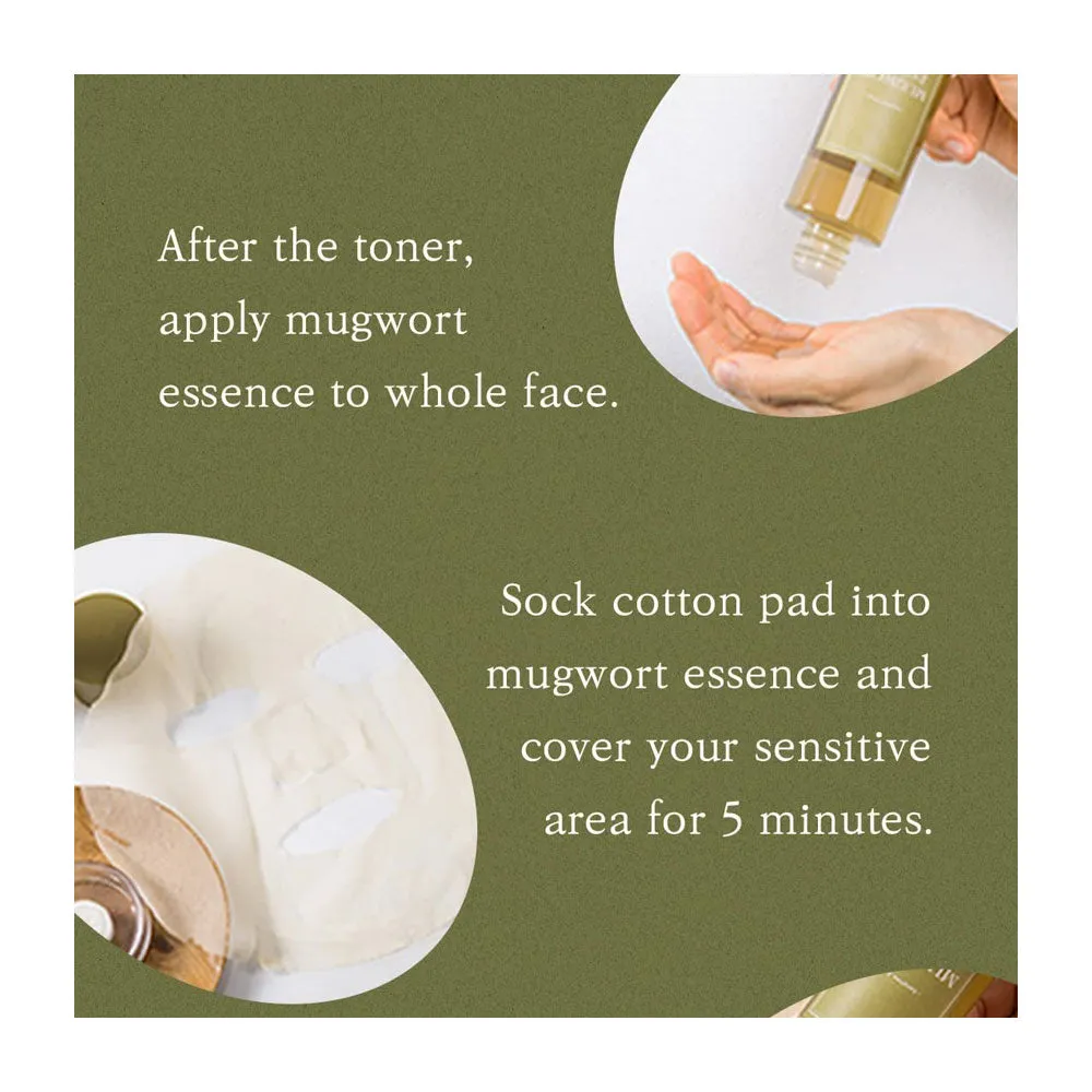 Mugwort Essence