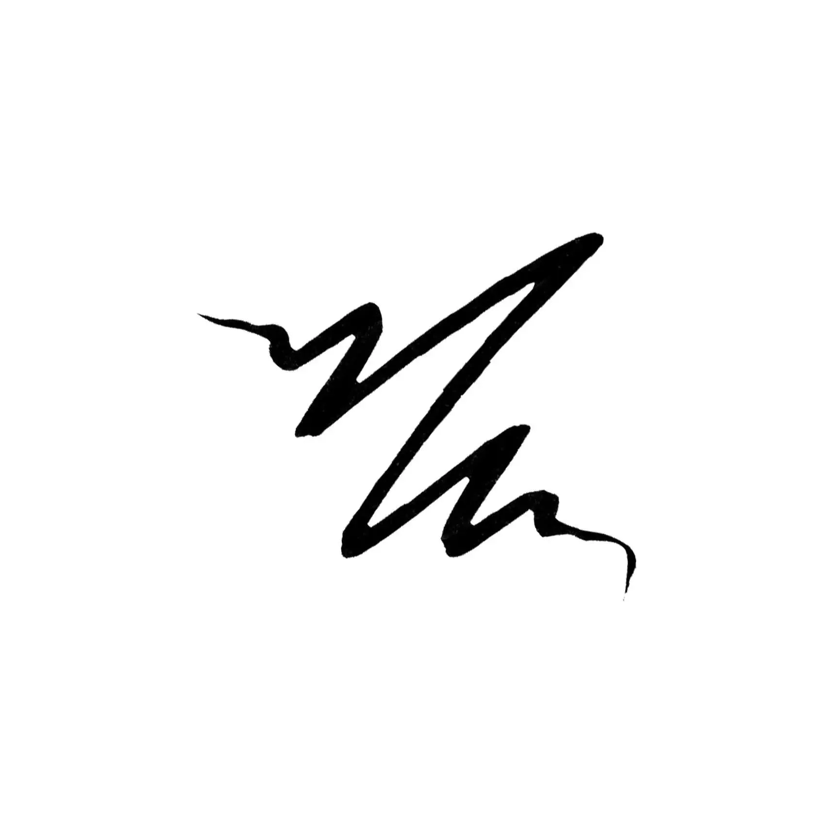 NANACOCO PRO The Finest Liquid Eyeliner (Black)