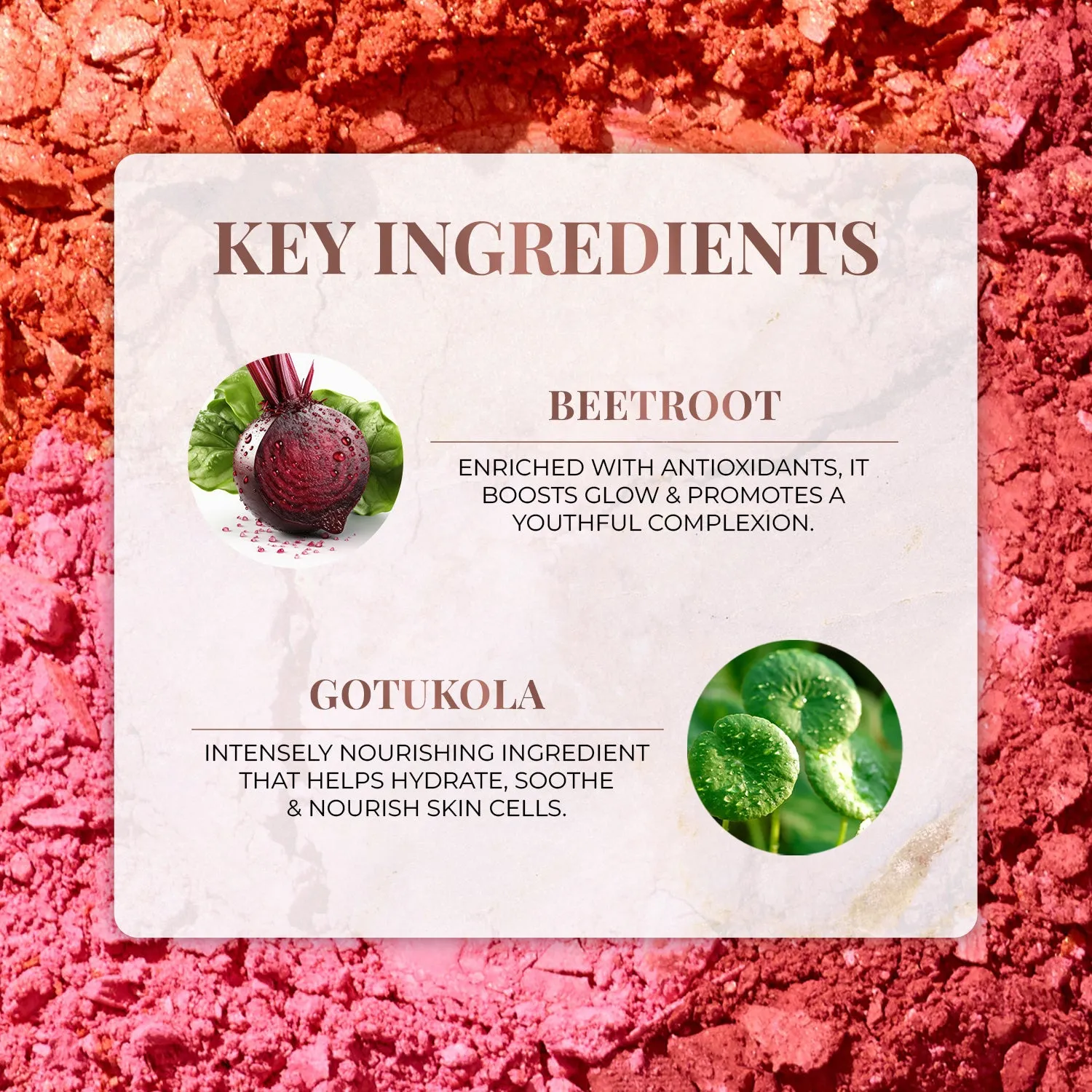 Nourishing Powder Blush with Beetroot and Gotukola - Velvet Rose