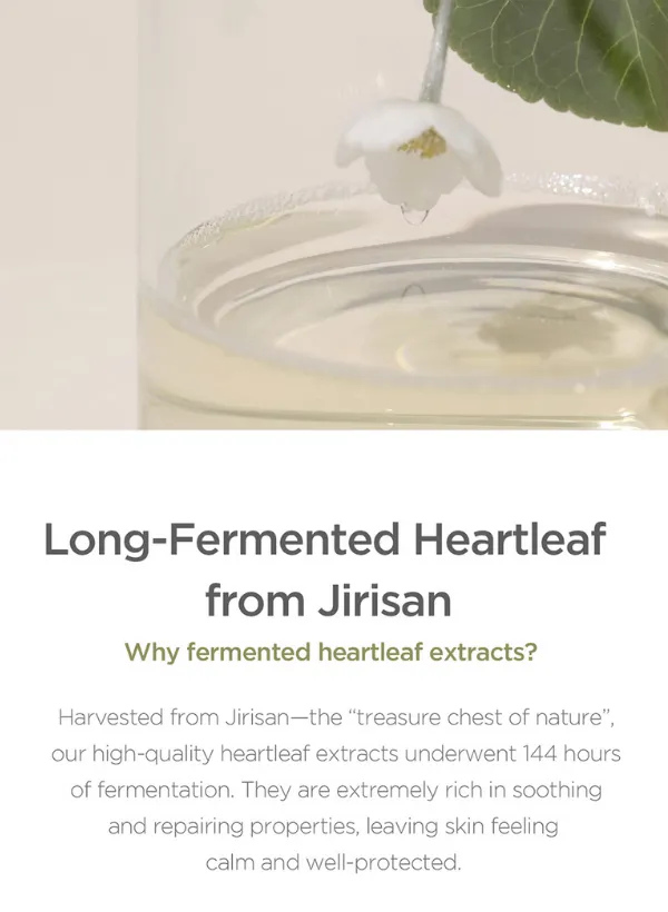 Our Vegan Heartleaf Cica Cream