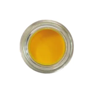 Performance Acrylic Powder - Pure Yellow