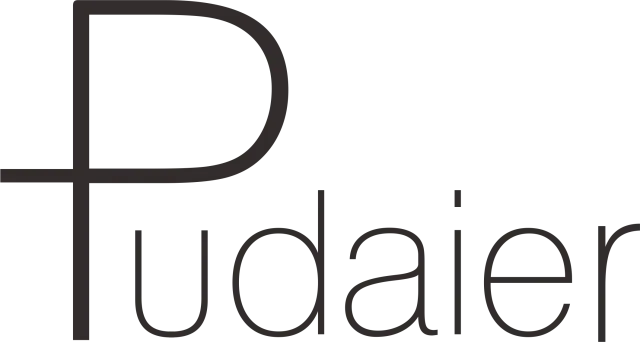Pudaier 40ml Matte Makeup Foundation Cream for Face Professional Concealing Make up Tonal Base high coverage Liquid long-lasting