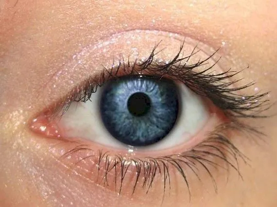 Purple Twinkle Effects Eyeshadow