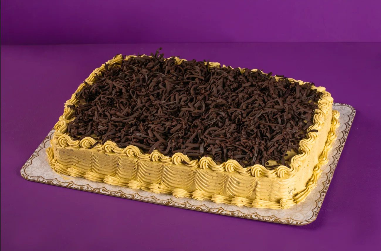 Rectangular Chocolate Avocado Cake
