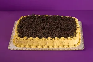 Rectangular Chocolate Avocado Cake