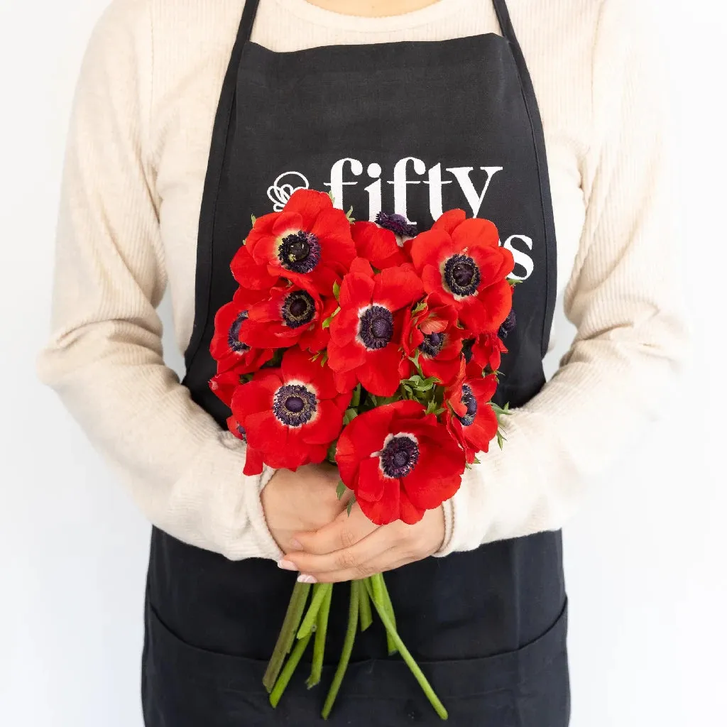 Red Fresh Cut Anemone Flower