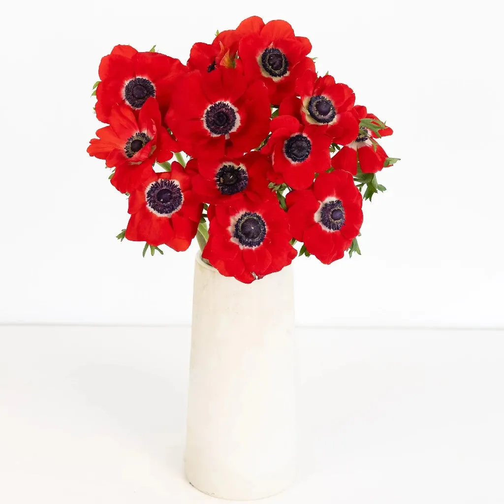 Red Fresh Cut Anemone Flower