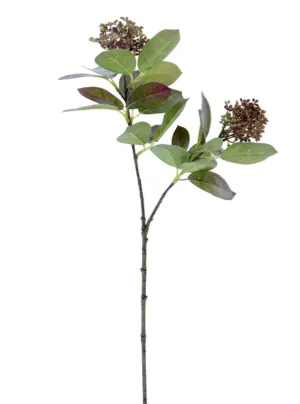 Seeding leaf spray greenery