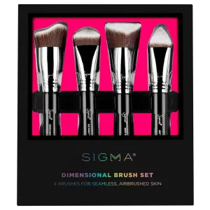 Sigma Dimensional Brush Set