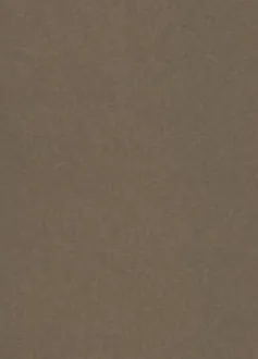 Stardream Bronze 120gsm A4 Paper