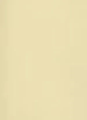 Stardream Gold 120gsm SRA3 Paper
