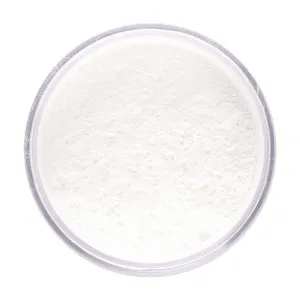 Stargazer Loose Powder Foundation, Cruelty Free Lightweight All Day Setting Powder that Reduces shine, Smooths The Skin and Leaves The Completion Ghost White, Made in The UK Since 1980, 0.35 oz. In White
