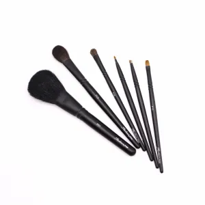 Tauhaus Pro Series 6-Brush Set