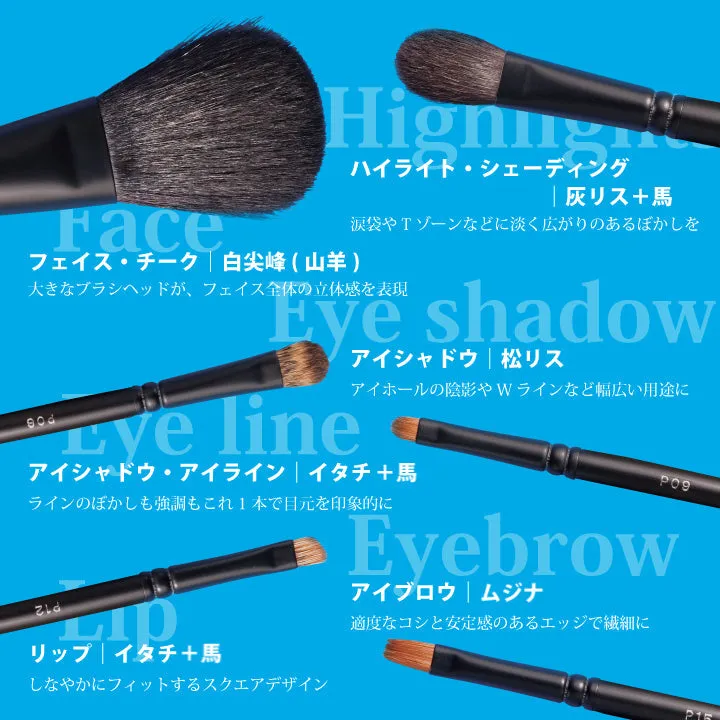Tauhaus Pro Series 6-Brush Set
