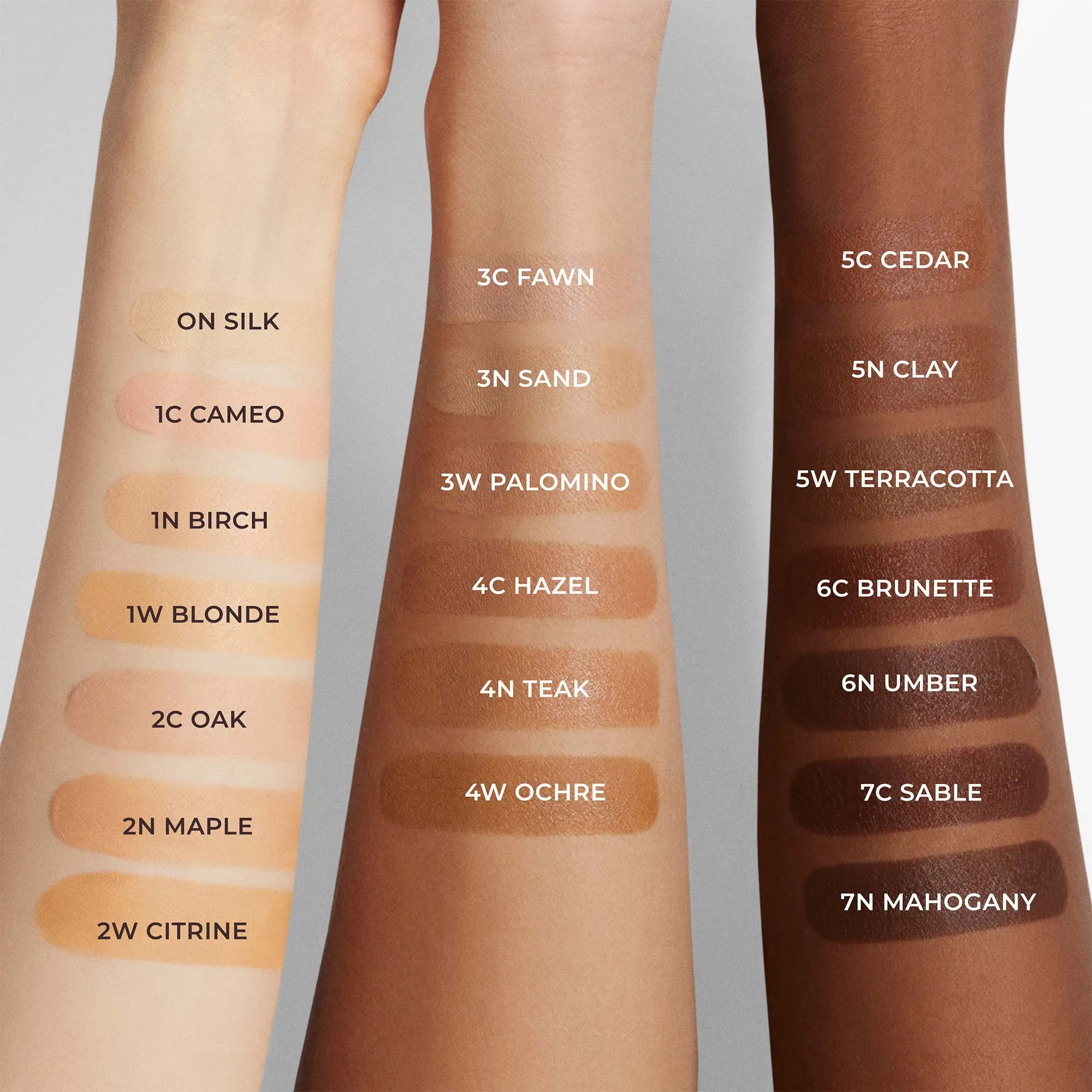 Tinted Moisturizer Blurred Matte