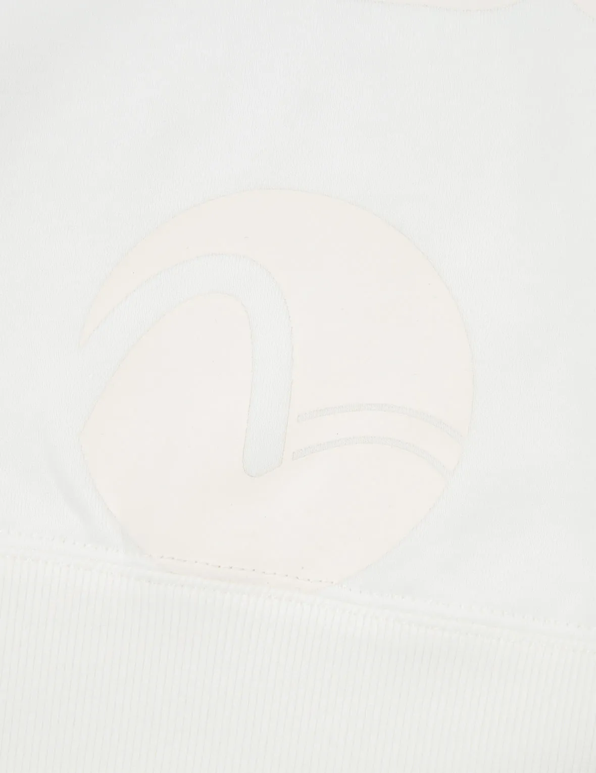 Transparent Seagull Badge Logo Print Sweatshirt